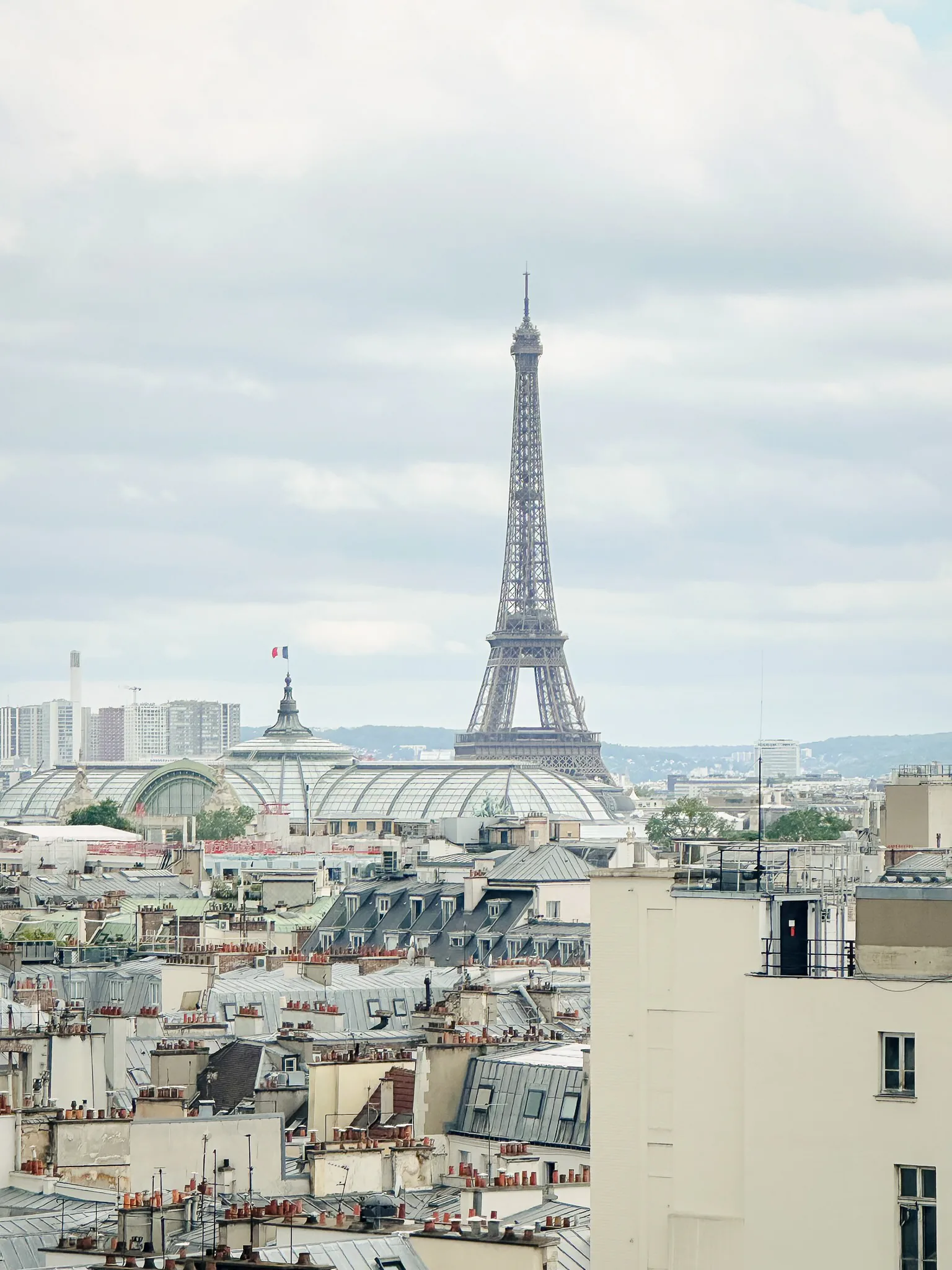 The Eiffel Tower beyond a foreground of Paris rooftops and glass domes